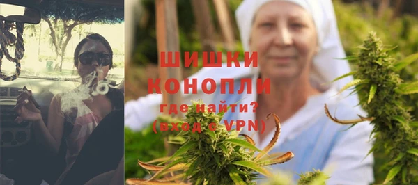 шишки Краснослободск