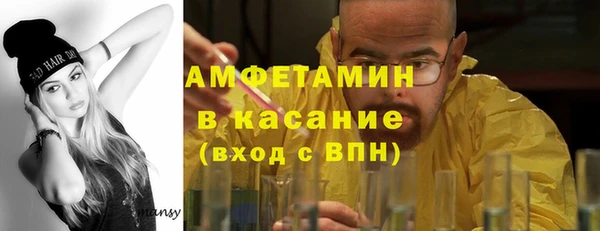 шишки Краснослободск