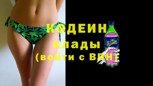 шишки Краснослободск
