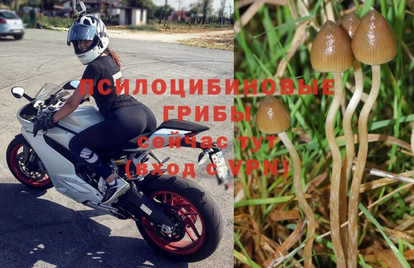 шишки Краснослободск