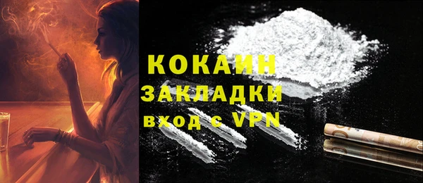 шишки Краснослободск