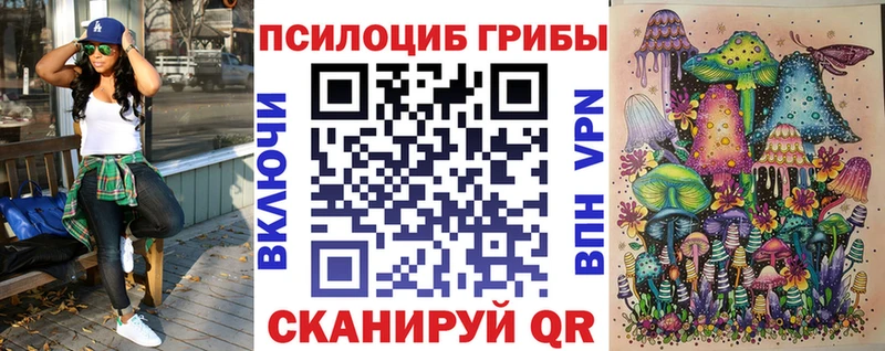 Купить где  Острогожск  Псилоцибиновые грибы GOLDEN TEACHER 