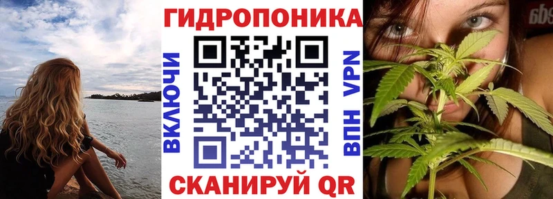 Конопля Ganja  Купить где  Острогожск 